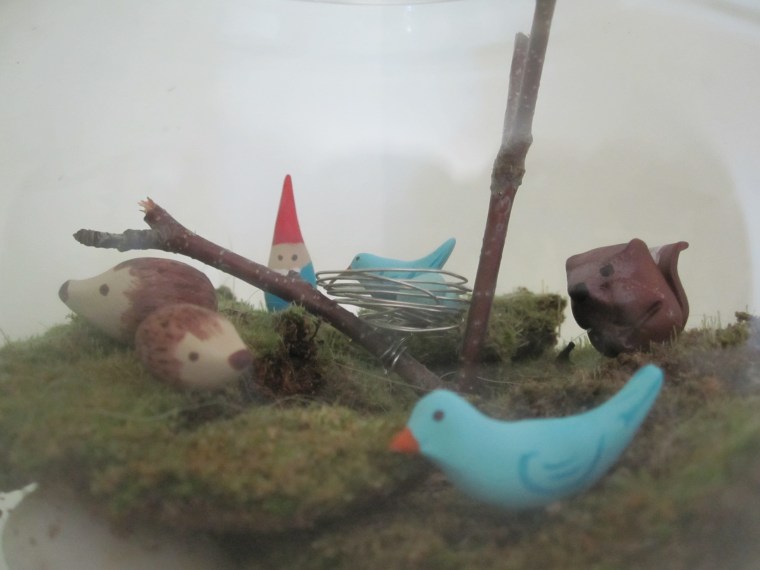 Large Terrarium from Front