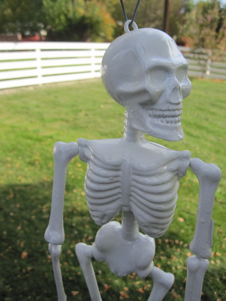 Skeleton After