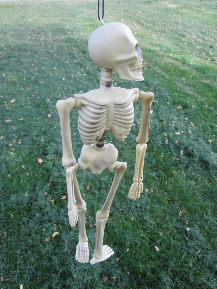 Skeleton Before