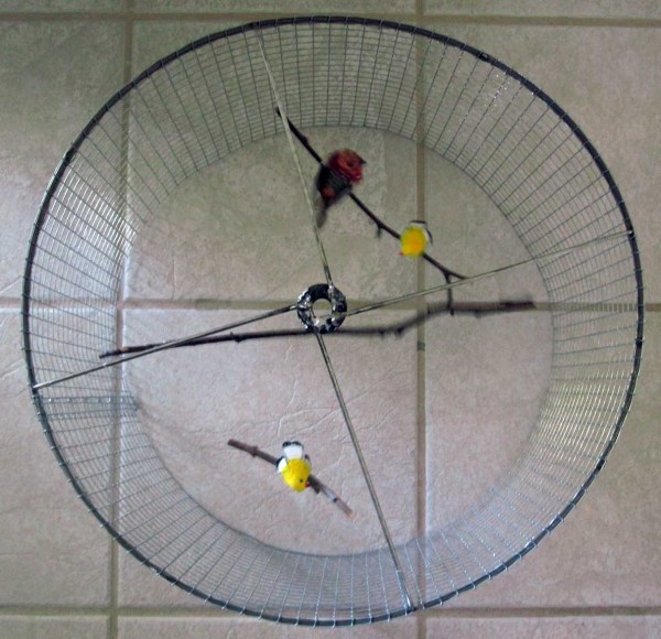 Bird Pendant with Birds Attached