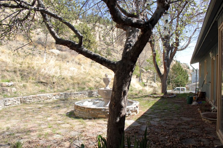 New-House-Back-Yard-East-April-13-2012