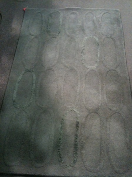 West Elm rug from Thrift Store