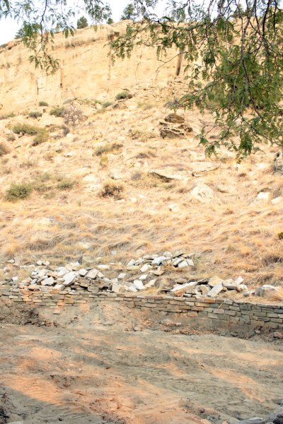 Back-Yard-After-Some-Excavation