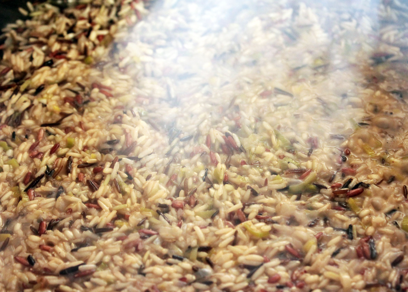 Rice Blend Risotto