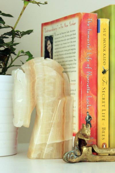 Marketplace Finds  Horse Head