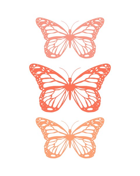 Spring-Butterfly-Coral