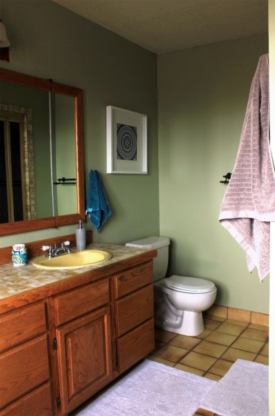 Master-Bath-One-Year-Later