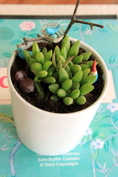Succulent-Spring-Plant