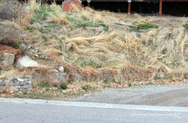 Left-Side-Driveway-April-2012