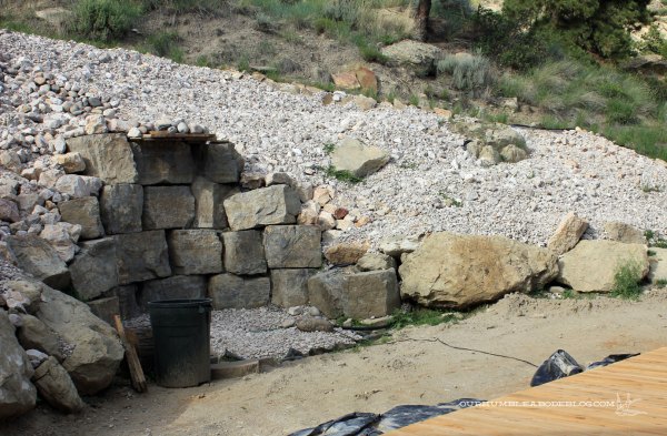 Back-Yard-Hill-Needing-Plants