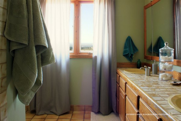 Master-Bath-Window-and-Vanity