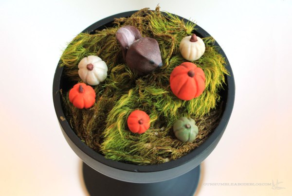 Fall-Pumpkin-and-Squirrel-Terrarium