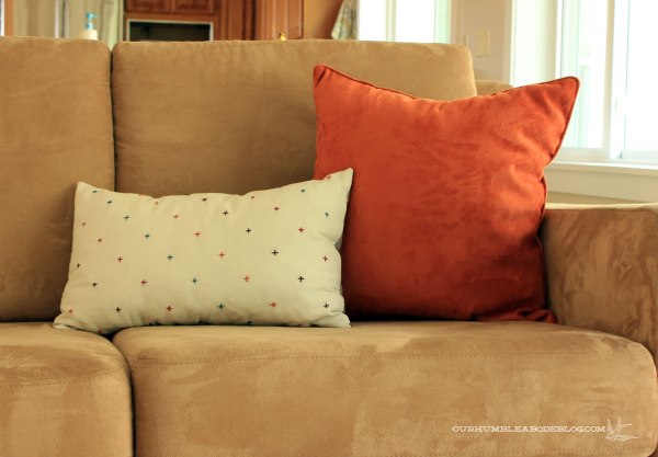 Embroidered-Plus-Pillow-Cover