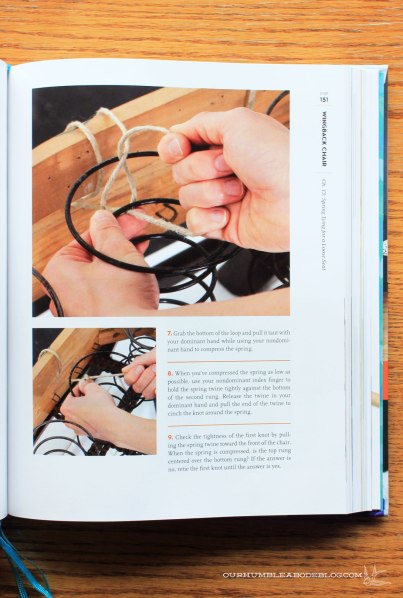 Spruce-Tying-Springs