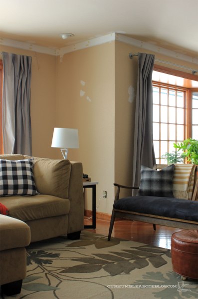 Living-Room-with-Crown-Installed