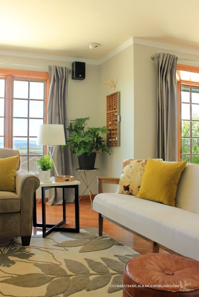 Printer-Drawer-Shelf-in--Living-Room