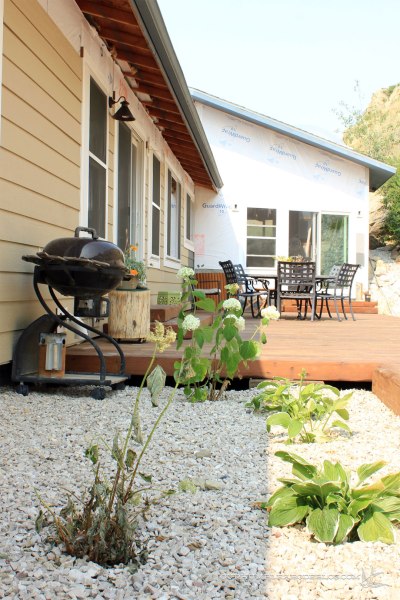 Shade-Garden-Beginnings