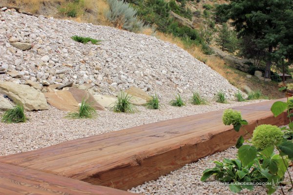 Landscaping-in-Back-Feather-Reed-Grass-Row