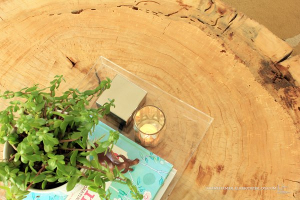 Stump-Coffee-Table-Top-Bug-Hole-Detail