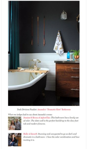 Apartment-Therapy-Dark-Division-Winner