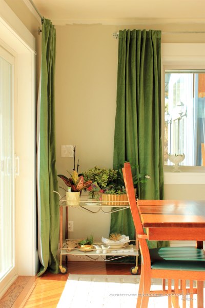 Green-Curtains-in-Dining-Room-by-Plants