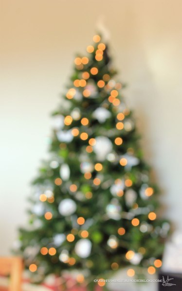 Christmas-Tree-Bokeh-Tree