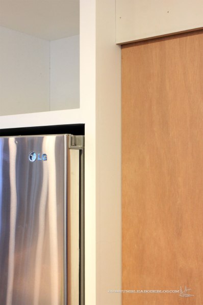 Unfinished-Pantry-Set-Back-from-Fridge