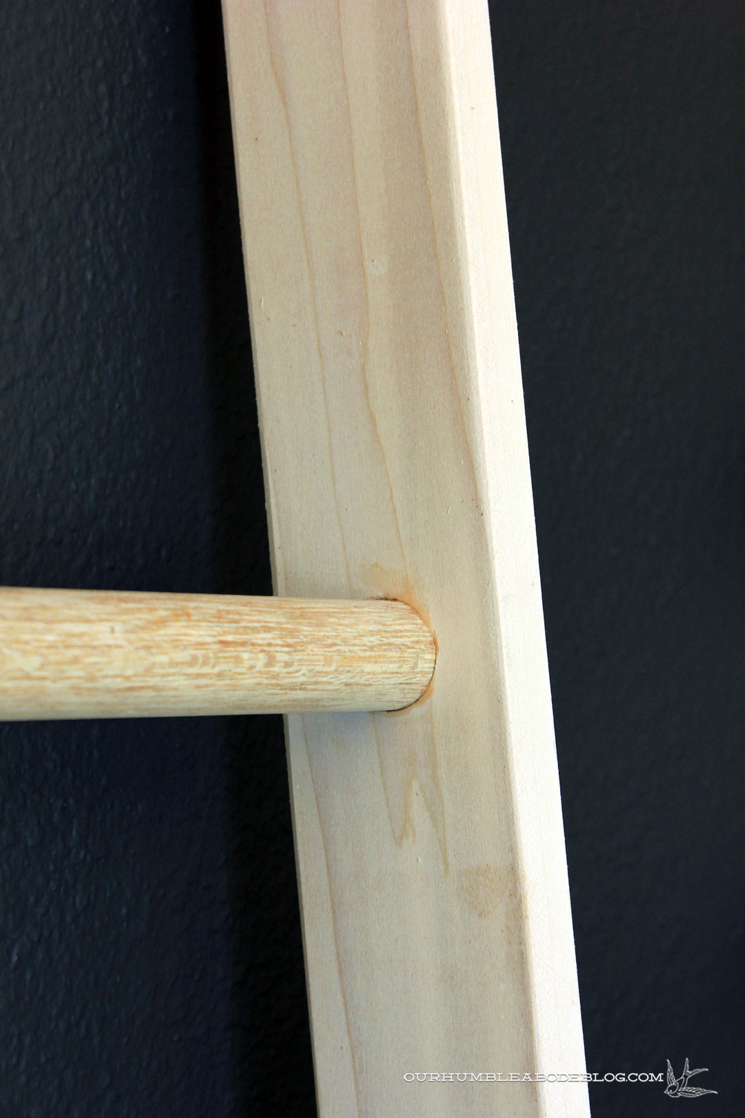 Ladder Rack