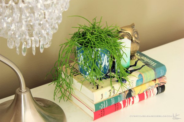 Guest-Room-Dresser-Accessories-Detail