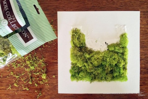 Moss-Art-Making