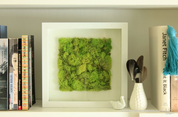 Moss-Art-on-Bookshelves
