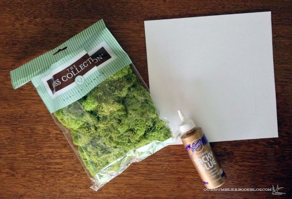 Moss-Art-Supplies
