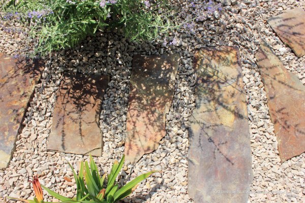 Paver-Walkway-Between-Russian-Sage-and-Lily