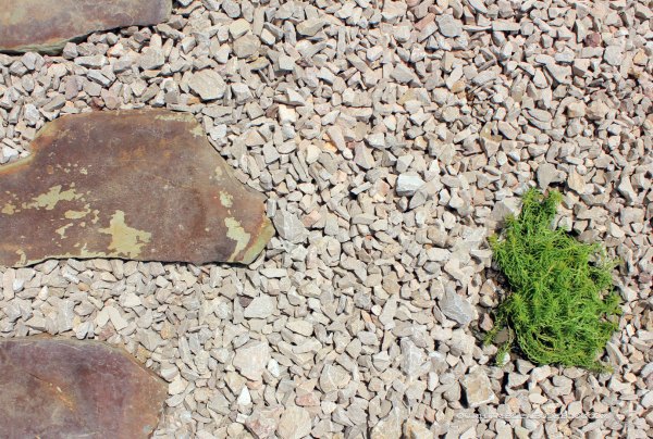 Paver-Walkway-Stonecrop-Detail