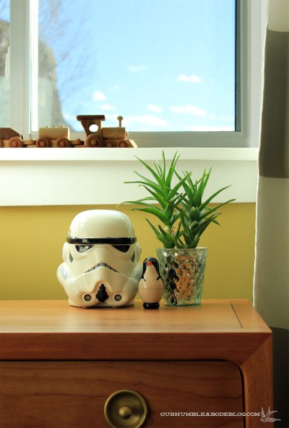 Climbing-Aloe-Plant-in-Boys-Room