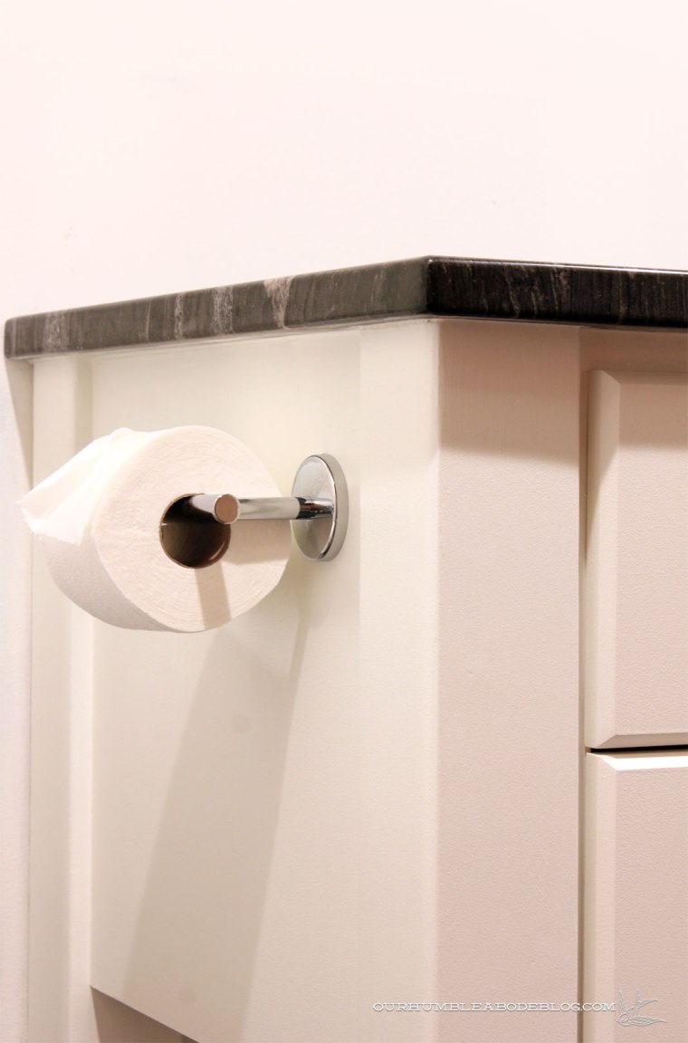 Basement-Bathroom-Vanity-Toilet-Paper-Side