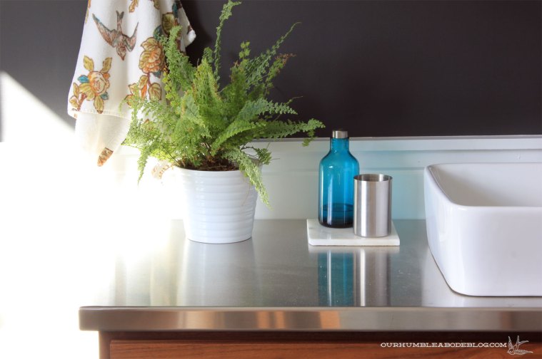 stainless-steel-counters-bathroom-dust