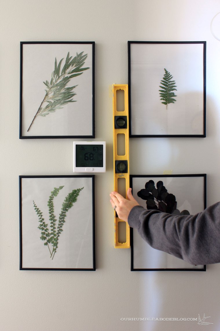 pressed-leaves-hanging-level