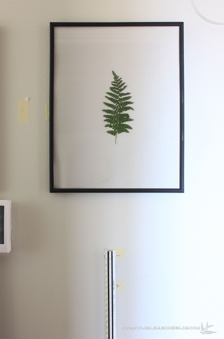 pressed-leaves-measuring-to-hang