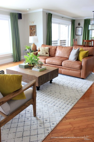 living-room-rug-overall