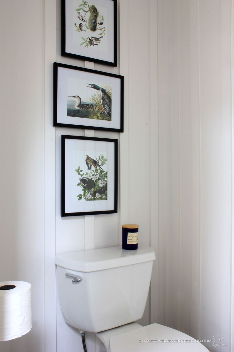 Pool-House-Finished-Bathroom-Overall-Toilet-Side