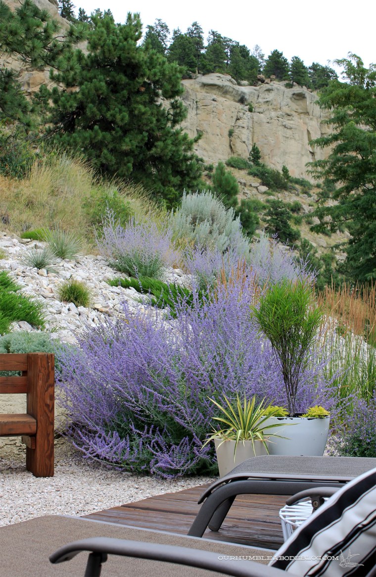 July-2018-Garden-Update-Back-Deck-Detail