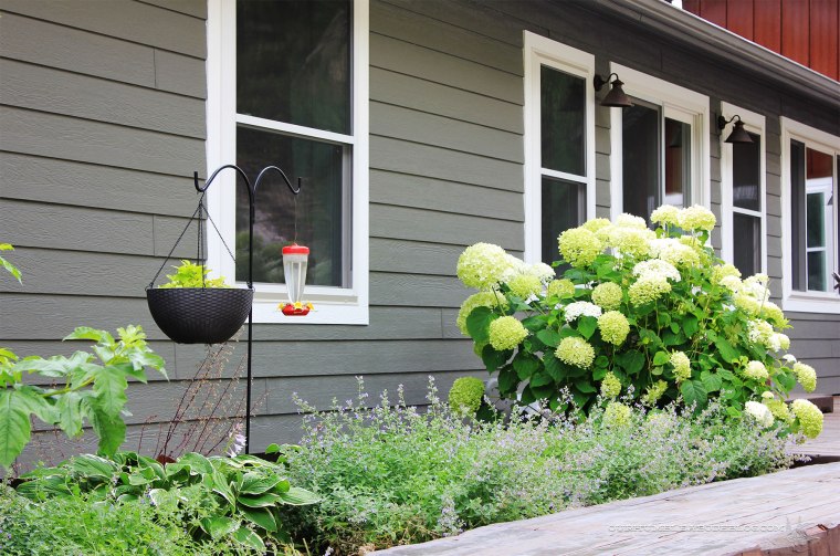 July-2018-Garden-Update-Back-Shade-Detail