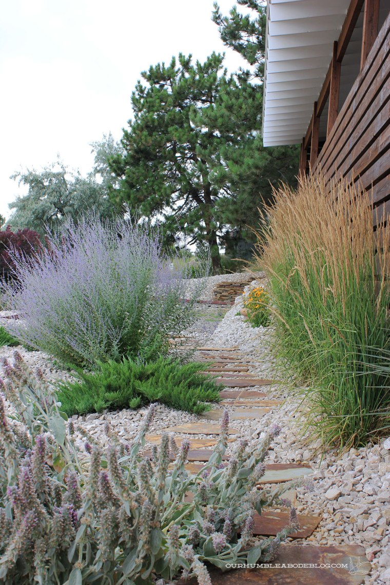 July-2018-Garden-Update-Front-Paver-Plants