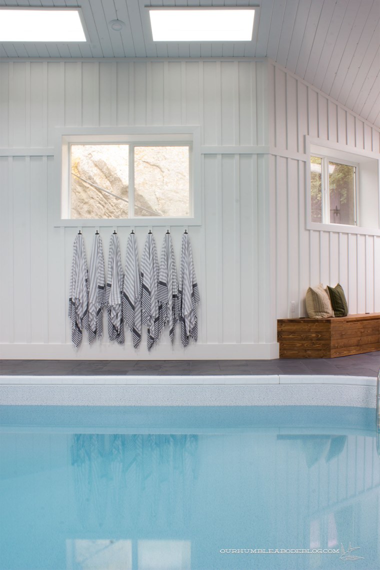 Pool-House-Finished-Ladder